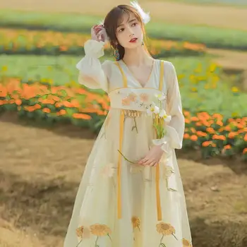 2023 Традиционното китайското шифоновое рокля с националния цветисти принтом Hanfu, ретро денс костюм Ruqun Hanfu, рокля фея принцеса