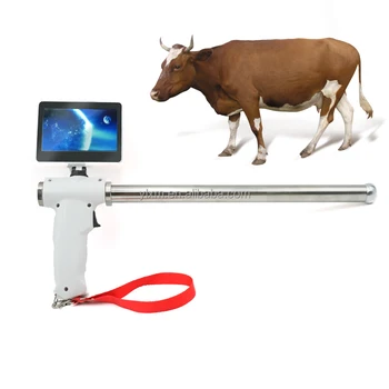 Базов тип устройство за визуално изкуствено осеменяване на едър рогат добитък, една крава, цифров пистолет AI с черупки